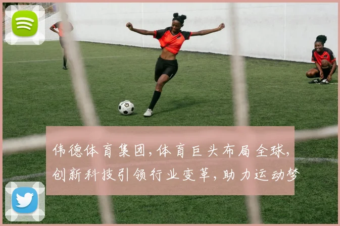 伟德体育集团,体育巨头布局全球,创新科技引领行业变革,助力运动梦想翱翔