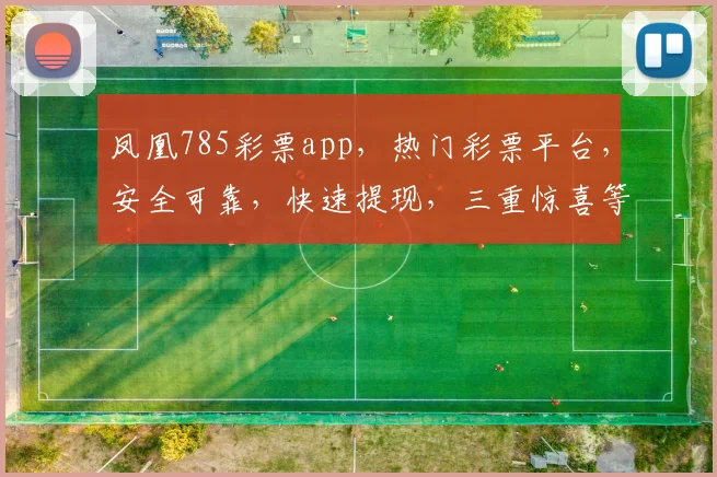 凤凰785彩票app，热门彩票平台，安全可靠，快速提现，三重惊喜等你来