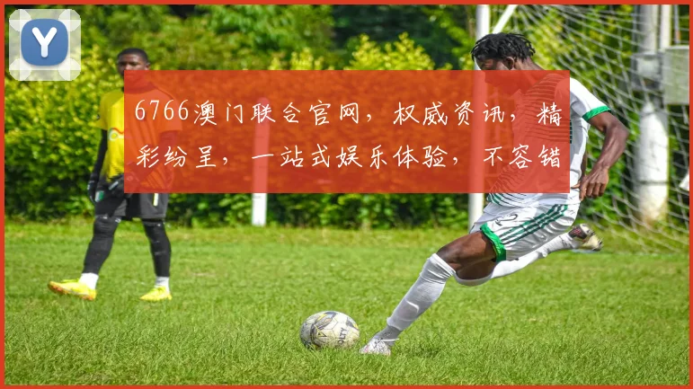 6766澳门联合官网，权威资讯，精彩纷呈，一站式娱乐体验，不容错过
